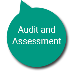 Audit and Assessment